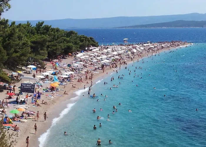 Campo de lujo Aloa Bol