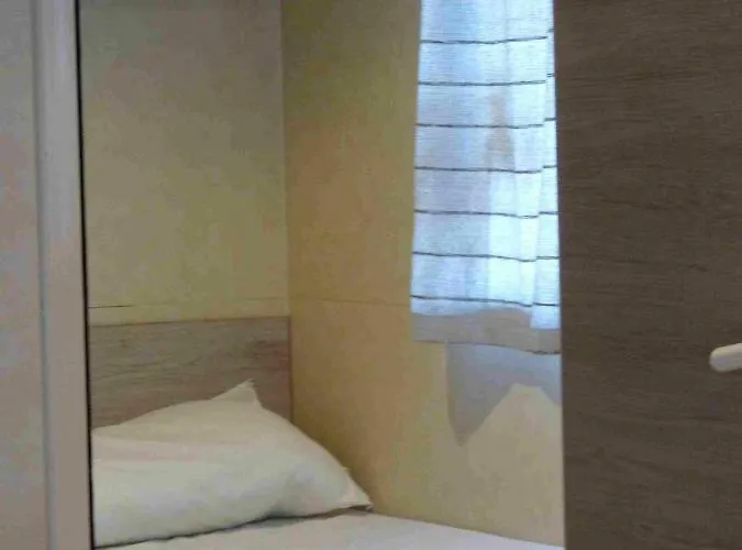 Aloa Campo de lujo Bol