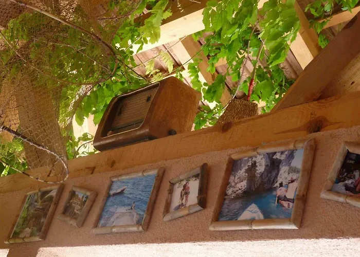 Aloa Campo de lujo *