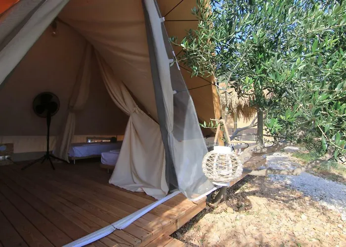 Aloa Campo de lujo *