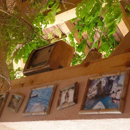 Aloa Campismo de Luxo *